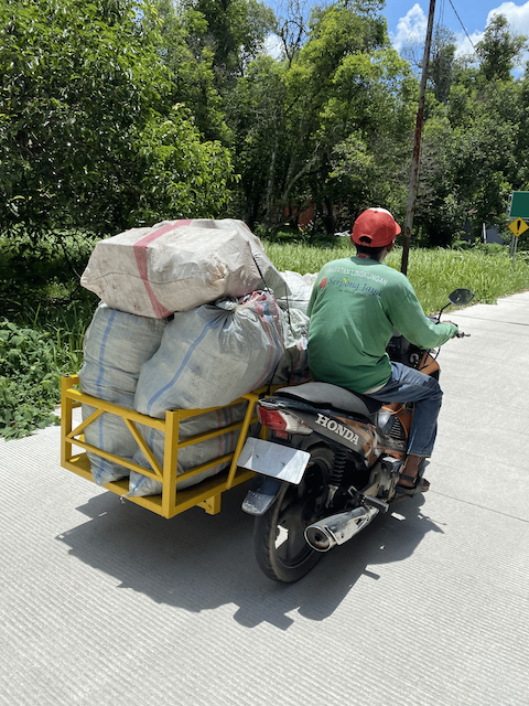 Collection logistics